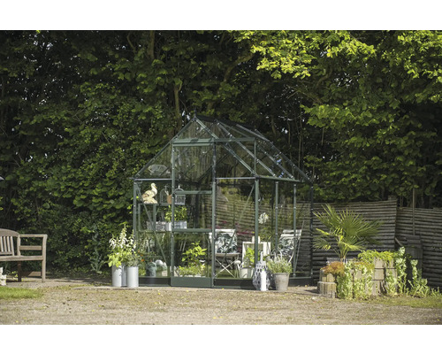 Gewächshaus im Garten mit Pflanzen und Dekoration