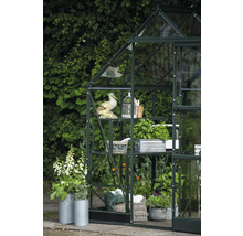 Gewächshaus mit Regalen, Dekorationen und Pflanzen