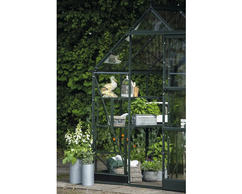 Gewächshaus mit Regalen, Dekorationen und Pflanzen