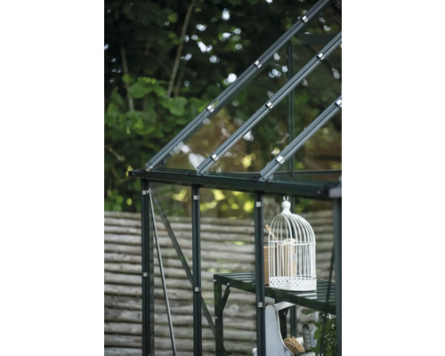 Detailansicht eines Gewächshauses mit Glas und Metallrahmen