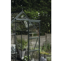 Gewächshaus mit geöffneter Tür in einem Garten mit Pflanzen