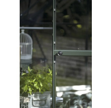 Detailansicht eines Gewächshauses mit Glas und Metallrahmen