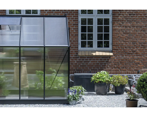 Gewächshaus mit Pflanzen neben einem Backsteingebäude