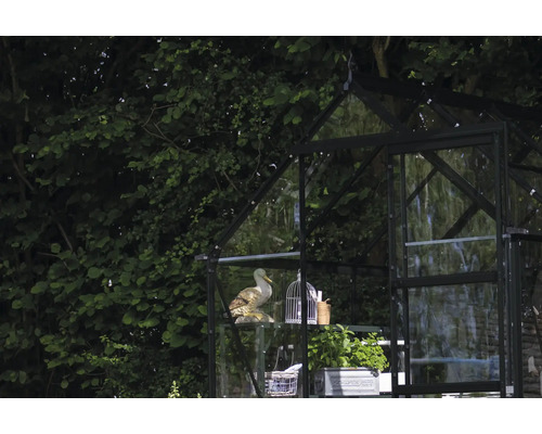 Gewächshaus mit Dekorationen und Pflanzen im Garten.