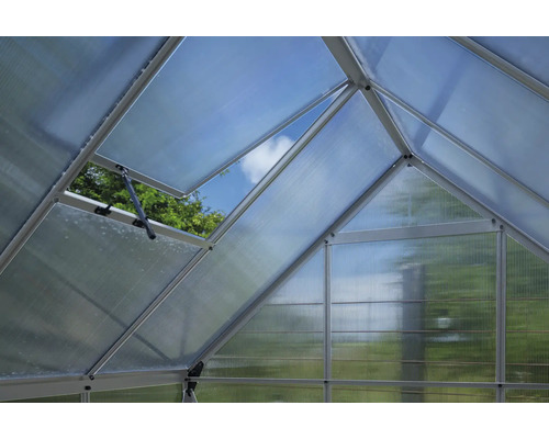 Innenansicht eines Gewächshauses mit geöffnetem Dachfenster