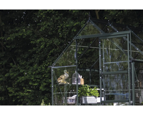 Gewächshaus mit Regalen und Dekorationen vor Bäumen