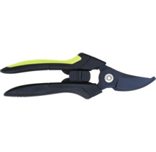 Sécateur pour la taille des arbres