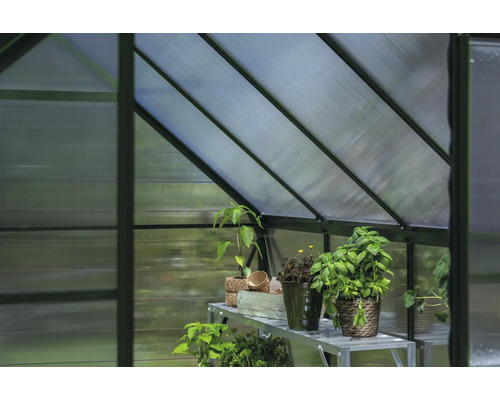 Detailansicht eines Gewächshauses mit Pflanzenregal und verschiedenen Topfpflanzen