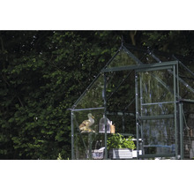 Gewächshaus mit Regalen, Dekoration und geöffneter Tür vor Baum