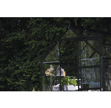 Gewächshaus mit Regalen, Dekoration und Pflanzen