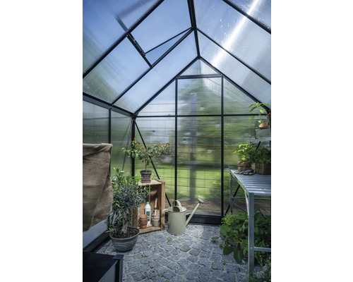 Innenansicht eines Gewächshauses mit Pflanzen und Gartenzubehör