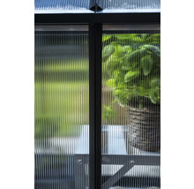 Detailansicht eines Gewächshauses mit Polycarbonatplatten und einer Pflanze im Topf