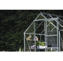 Gewächshaus mit Regalen, Dekorationen und Pflanzen