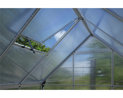 Innenansicht Gewächshaus mit geöffnetem Fenster zur Belüftung