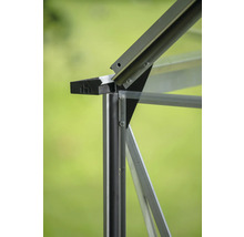 Detailansicht eines Gewächshauses mit Aluminiumrahmen und Glasscheiben