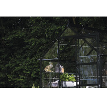 Gewächshaus mit Regalen und Dekorationen im Garten.