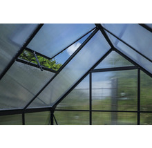 Innenansicht eines Gewächshauses mit geöffnetem Fenster zur Belüftung