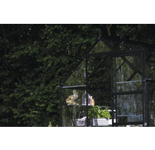 Gewächshaus mit Regalen, Dekorationen und Pflanzen