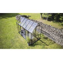 Serre sur une pelouse avec une pile de bois en arrière-plan.