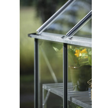 Vue détaillée d'une serre avec une plante en pot sur une étagère