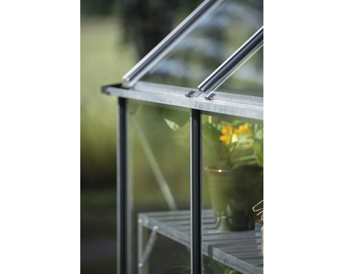 Vue détaillée d'une serre avec une plante en pot sur une étagère