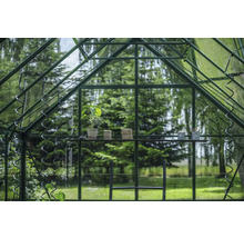 Intérieur d'une serre avec une plante, du fil et des outils de jardinage sur une étagère