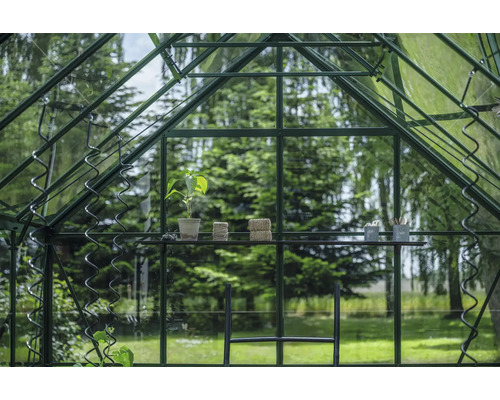 Intérieur d'une serre avec une plante, du fil et des outils de jardinage sur une étagère