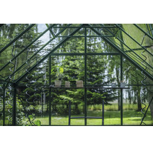 Vue intérieure d'une serre avec une plante, des bobines de fil et des outils de jardinage sur une étagère.