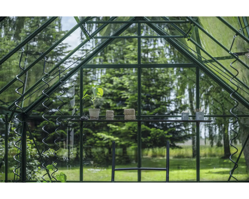 Vue intérieure d'une serre avec une plante, des bobines de fil et des outils de jardinage sur une étagère.