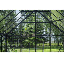 Serre avec étagères et accessoires de jardinage devant une nature verdoyante