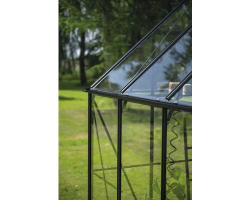 Vue détaillée d'une serre avec des parois en verre et un cadre foncé dans le jardin.