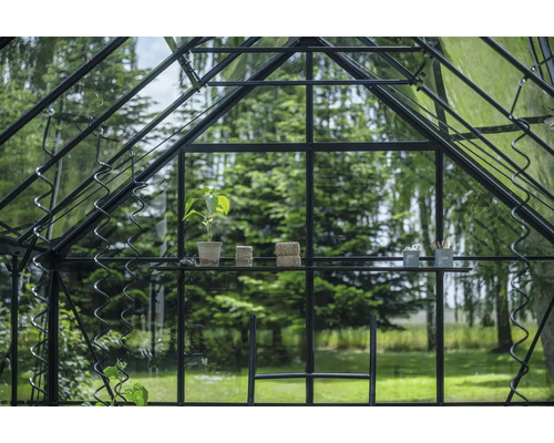 Serre avec étagères et accessoires de jardinage devant une nature verdoyante