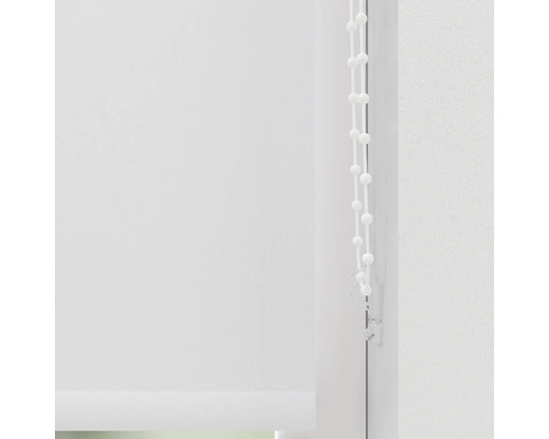 Rollos mit Kettenzug für Fenster.