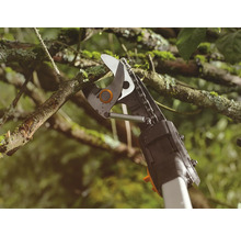 Sécateur coupant une branche