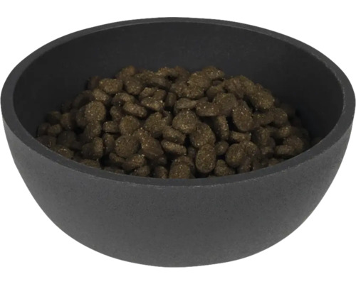 Schwarze Schale gefüllt mit Tierfutter