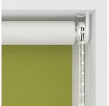 Grüne Rollos mit Kettenzug im Detail