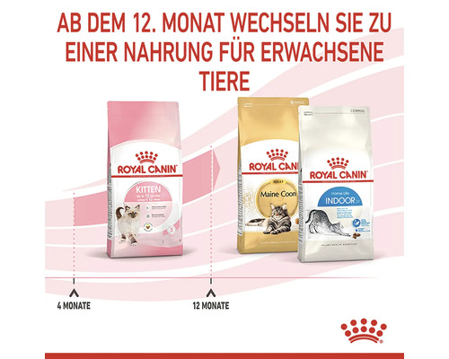 Drei Packungen Royal Canin Katzenfutter, Kitten, Maine Coon und Indoor 27