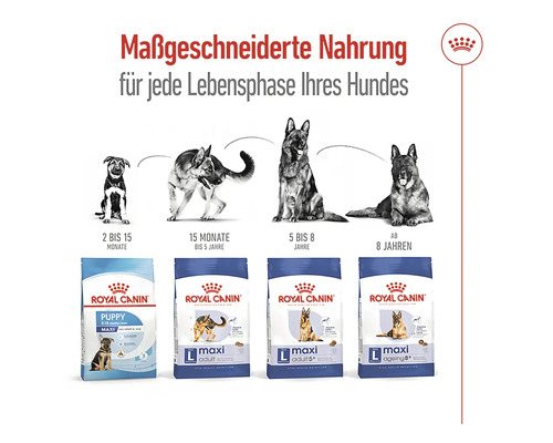 Royal Canin Hundefutter für jede Lebensphase des Hundes