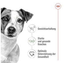 Grafik mit Hund, Symbol für Gewichtserhaltung, Symbol für starke und gesunde Knochen, Symbol für optimale Unterstützung der Gesundheit
