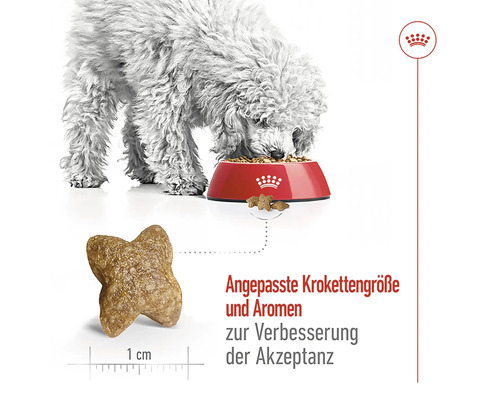 Ein Hund frisst Hundefutter aus einer roten Schüssel. Das Futter hat eine angepasste Krokettengröße und Aromen zur Verbesserung der Akzeptanz.