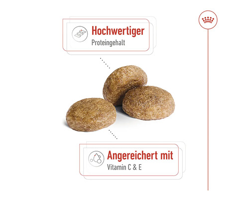Hundefutter mit hohem Proteingehalt und Vitamin C und E