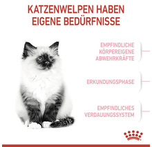 Katzenwelpe hat eigene Bedürfnisse