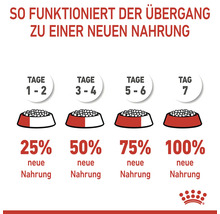 Anleitung zur Umstellung auf neues Hundefutter über sieben Tage