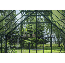 Vue intérieure d'une serre avec étagère, plante, outils de jardinage et support de croissance