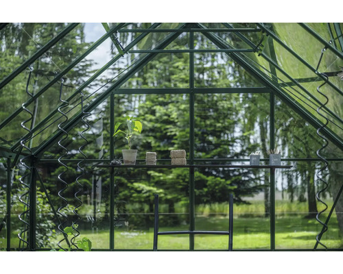 Vue intérieure d'une serre avec étagère, plante, outils de jardinage et support de croissance