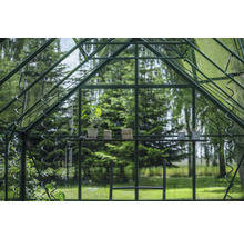 Vue intérieure d'une serre avec plante, accessoires de jardin et étagère