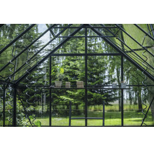 Intérieur de serre avec plante, ficelle et accessoires sur une étagère