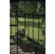 Serre avec plant de tomate et accessoires de jardinage