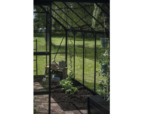 Serre avec plant de tomate et accessoires de jardinage