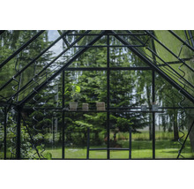 Serre avec étagère, plante, ficelle et outils de jardinage